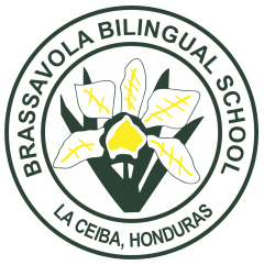 Brassavola Bilingual School
