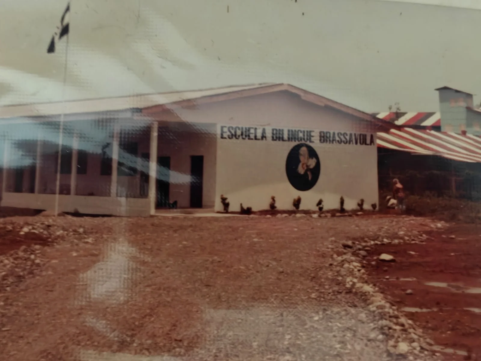 Early Brassavola campus