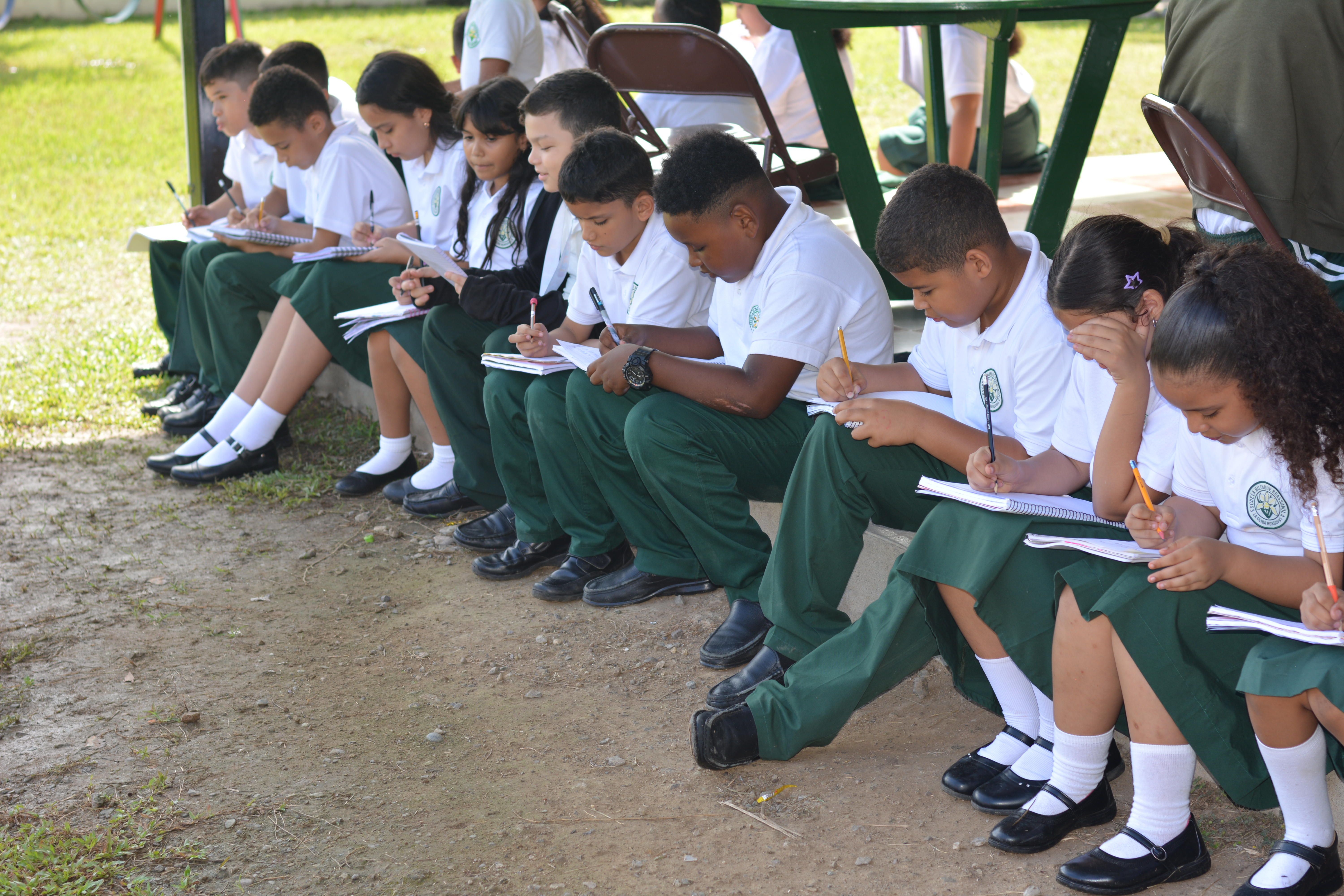 Brassavola student learning in the classroom