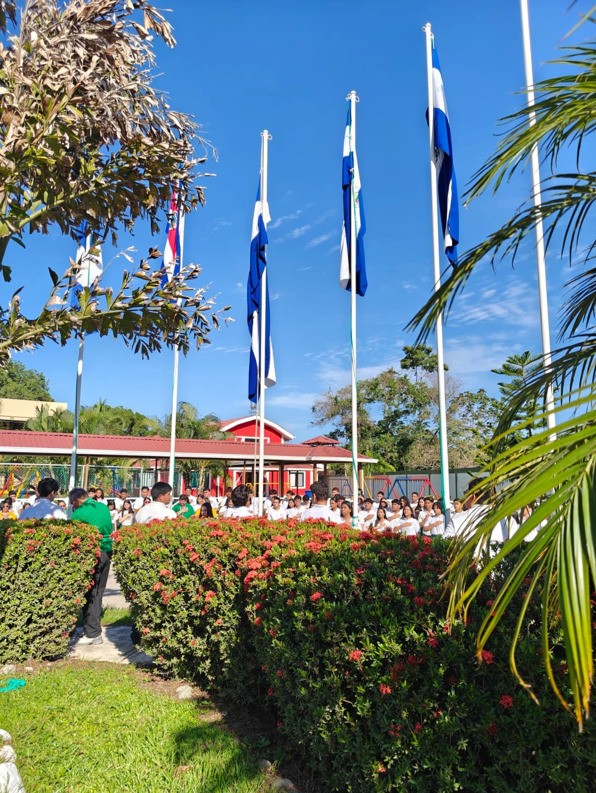 Central American flags during the civic event at Brassavola