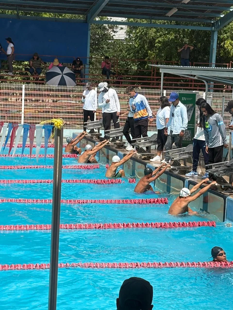 Swimming practice at Brassavola