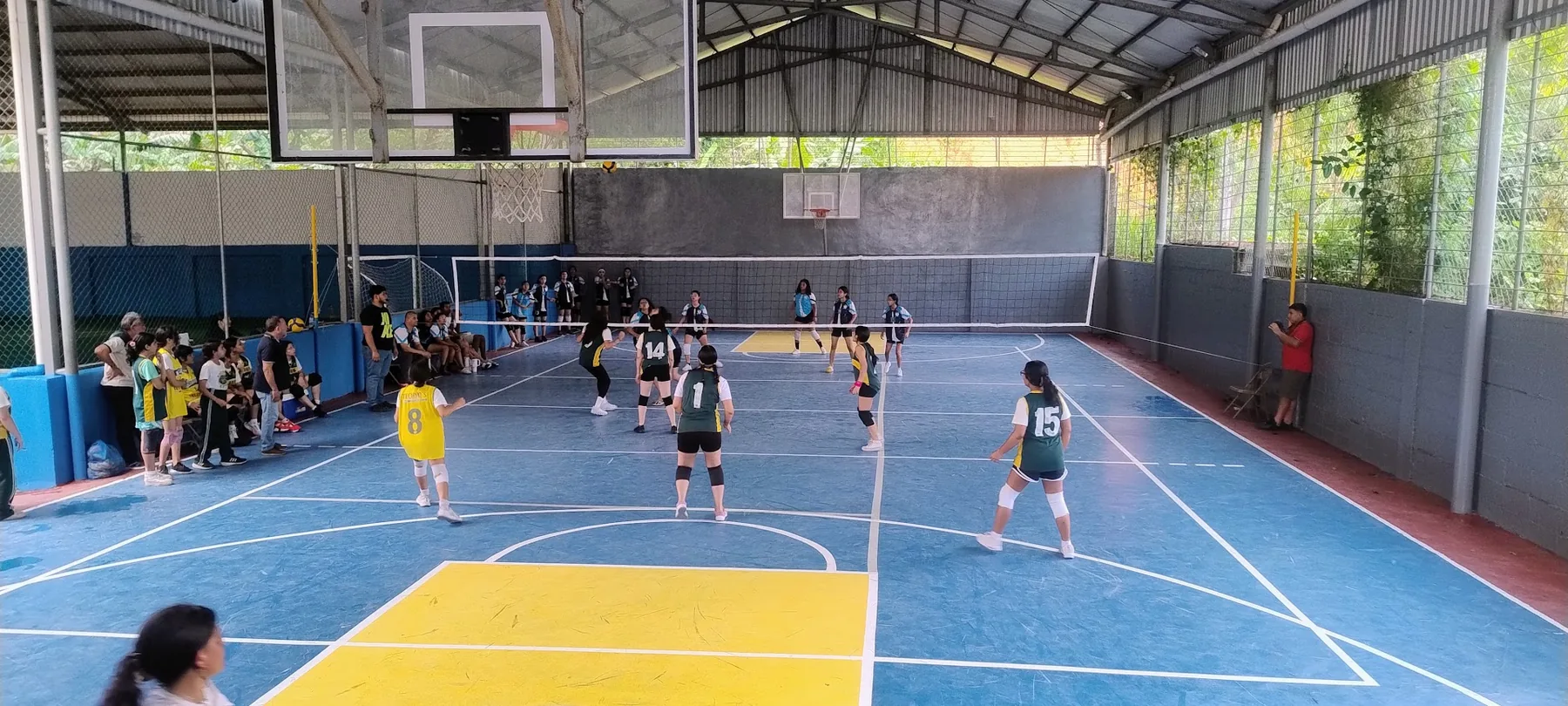 Volleyball