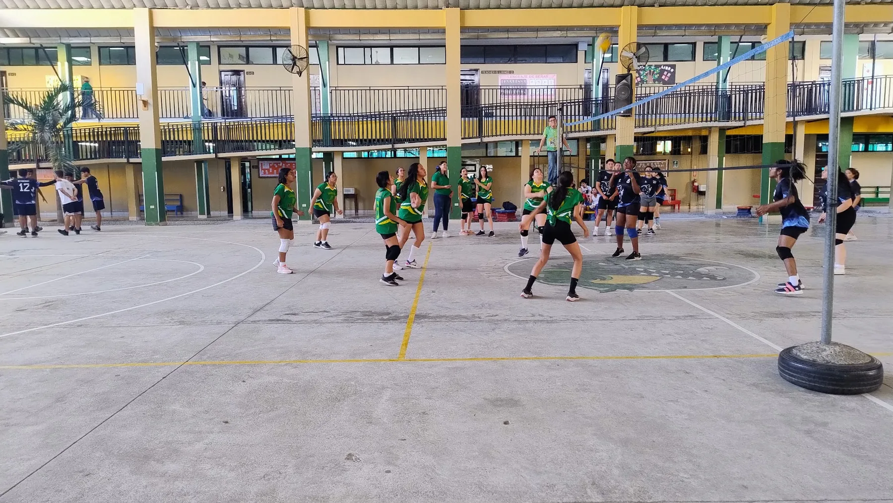 Brassavola volleyball activity